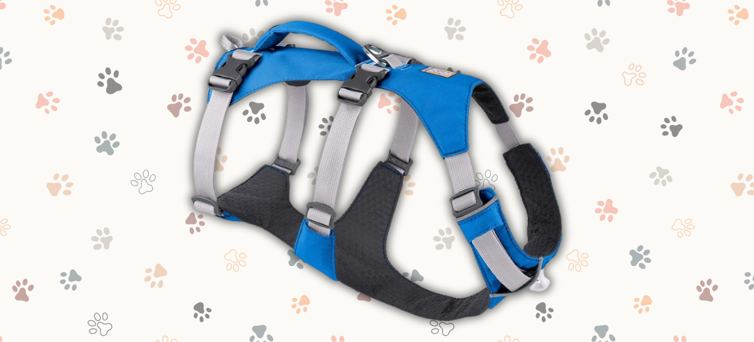 The Best Harnesses for Dogs