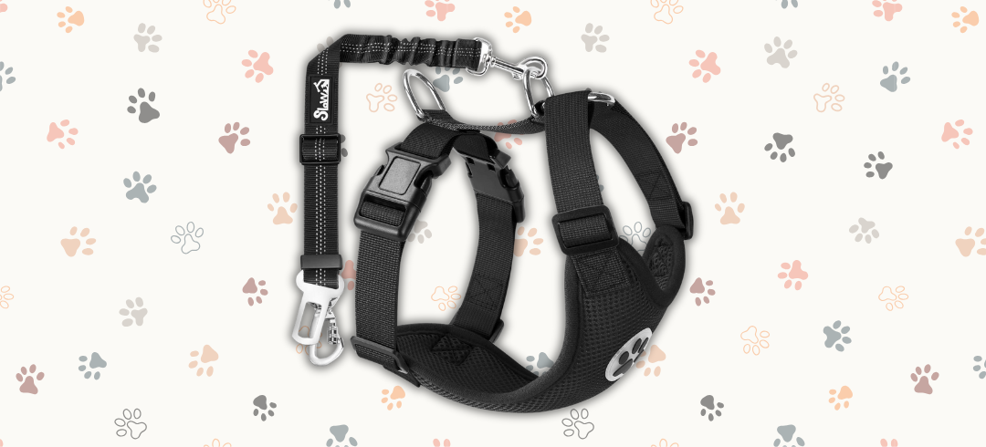 The Best Harnesses for Dogs