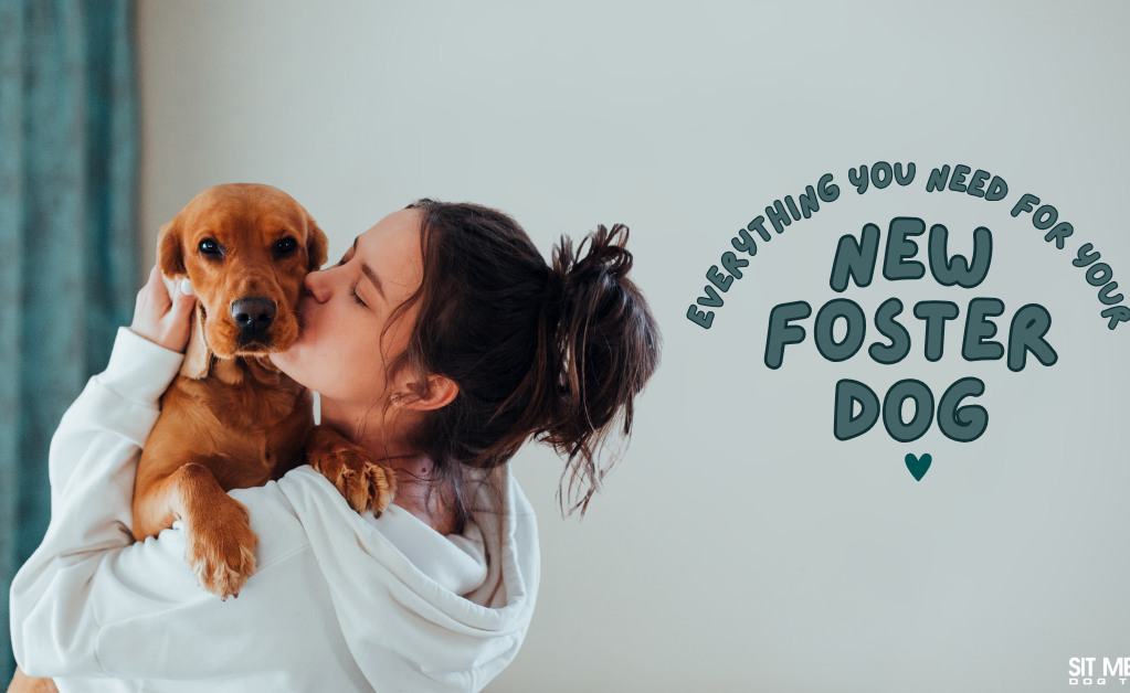 A person lovingly hugs a small dog, with text reading "Everything You Need for Your New Foster Dog."