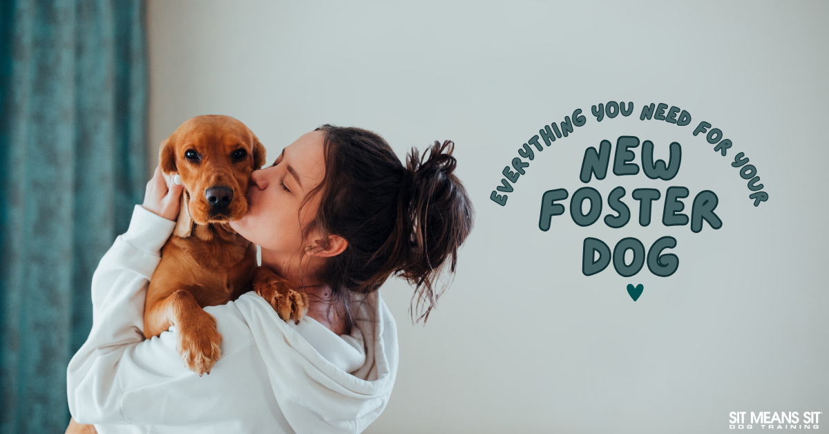 A person lovingly hugs a small dog, with text reading "Everything You Need for Your New Foster Dog."