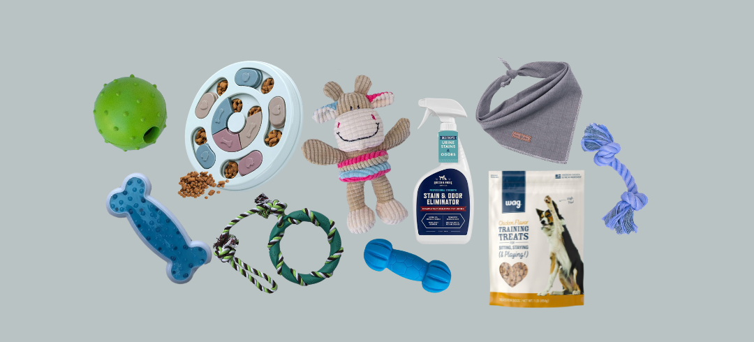 Everything You Need for Your New Foster Dog