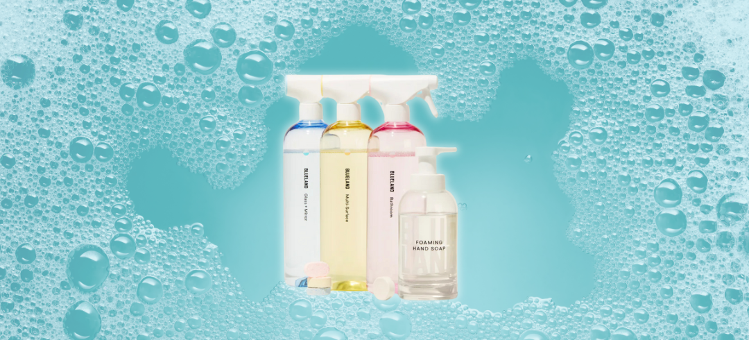 Eco-Friendly Dog Cleaning Products