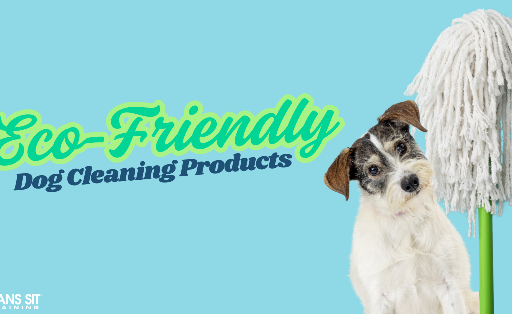 Eco-Friendly Dog Cleaning Products
