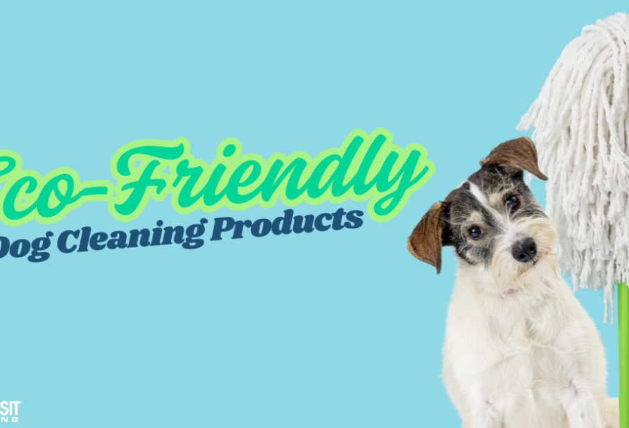 Eco-Friendly Dog Cleaning Products