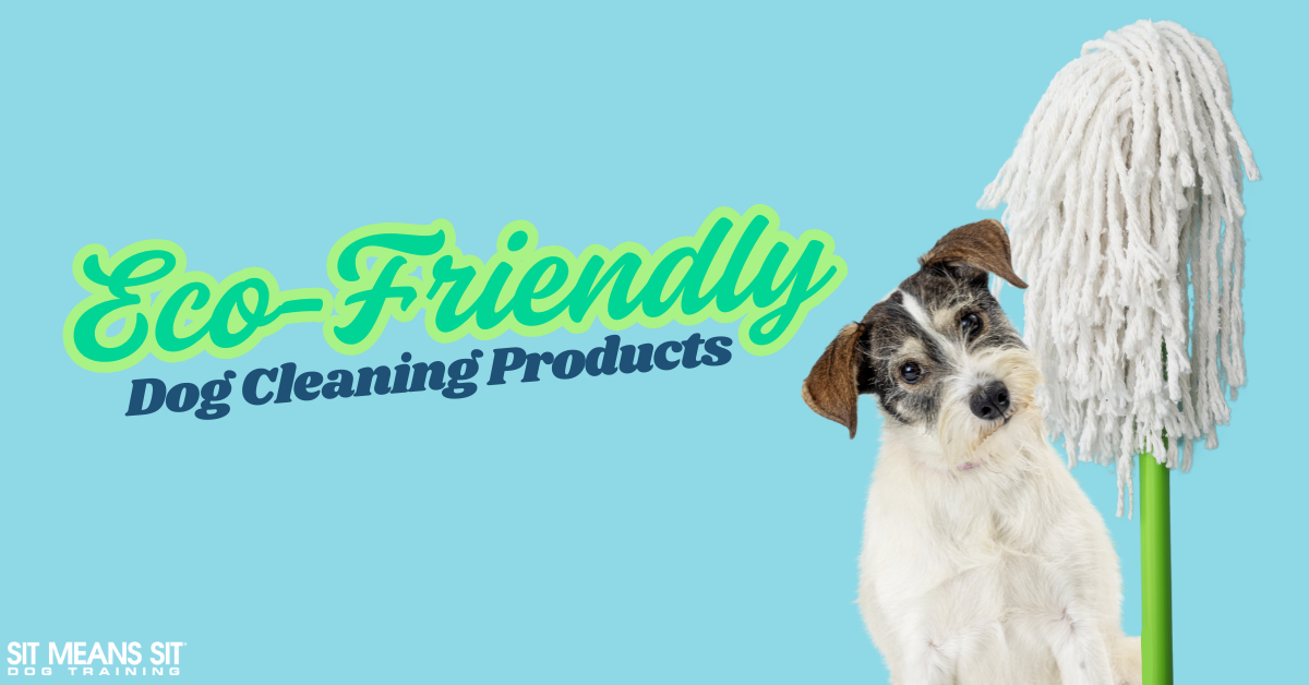 Eco-Friendly Dog Cleaning Products