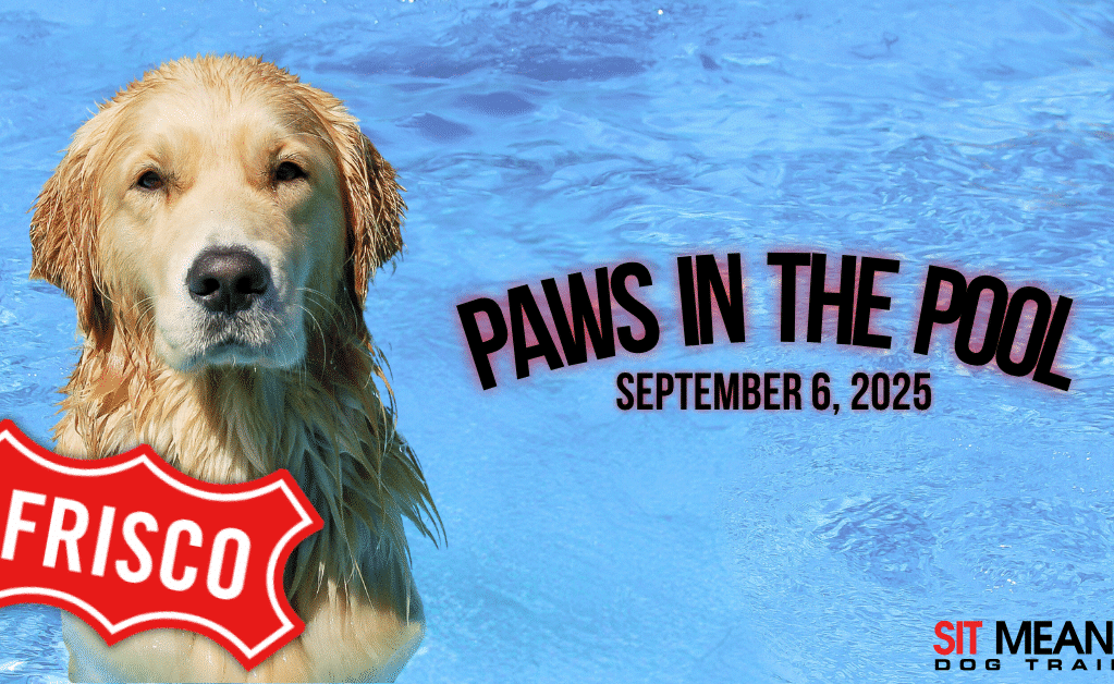 Don't Miss "Paws in the Pool" on September 6th!