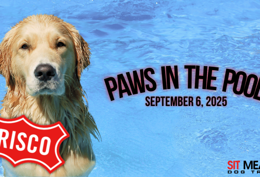 Don't Miss "Paws in the Pool" on September 6th!