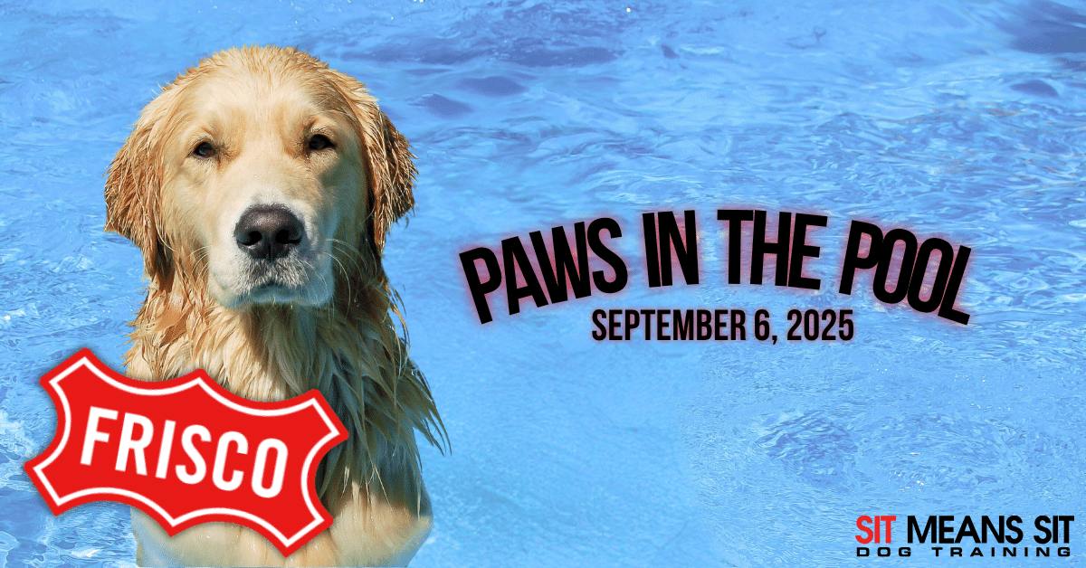 Don't Miss "Paws in the Pool" on September 6th!