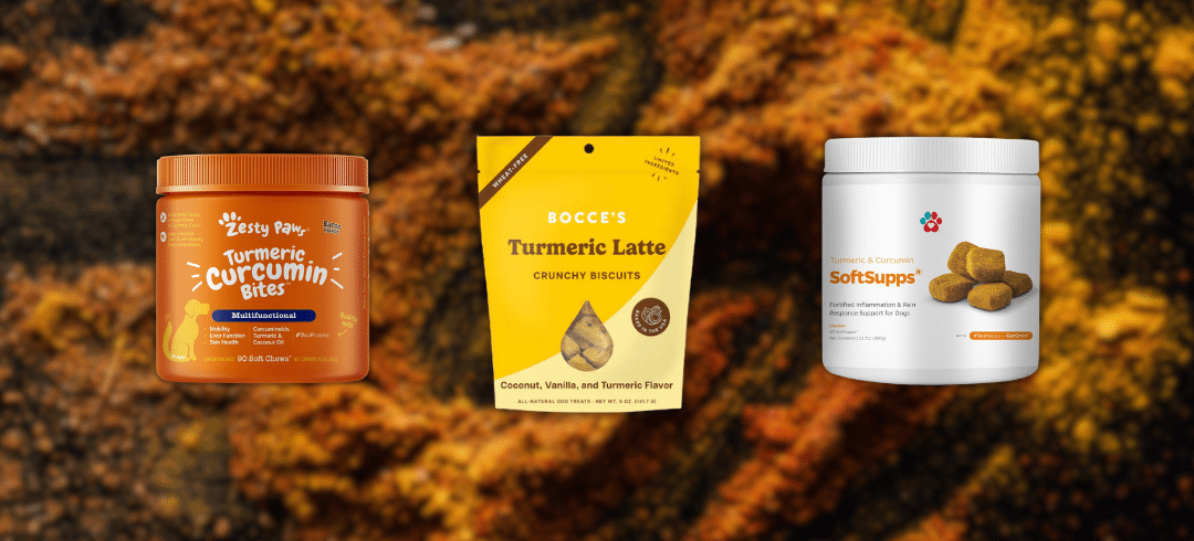 Is Turmeric Safe for Dogs?