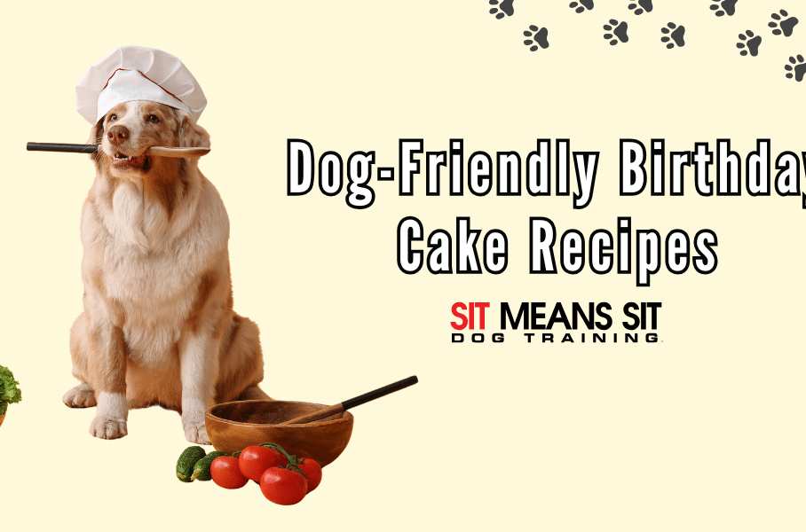 Dog-Friendly Birthday Cake Recipes