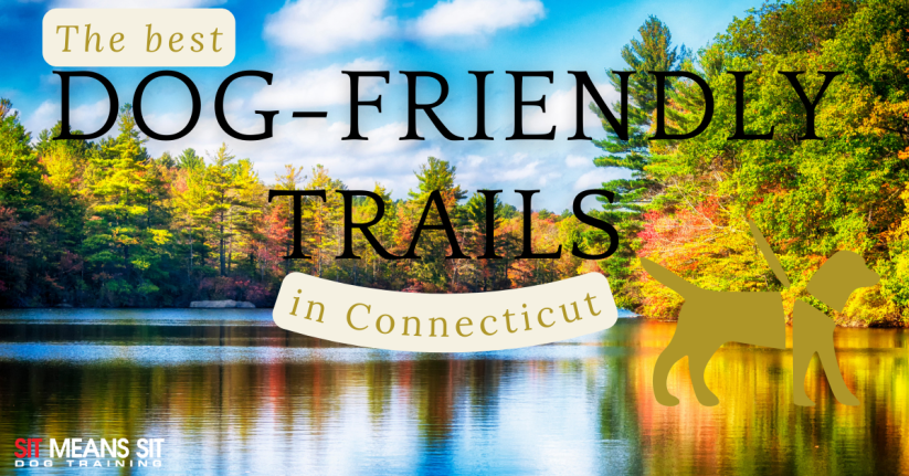 Image of a serene lake surrounded by colorful trees, featuring text about the best dog-friendly trails in Connecticut.