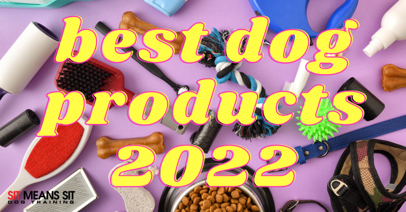 Colorful collection of dog products on a purple background, featuring grooming tools, toys, and treats with the text "best dog products 2022."