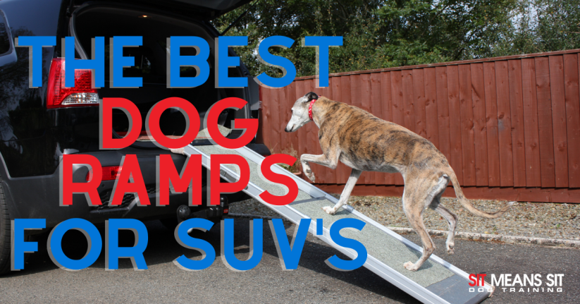 A dog climbing a ramp into an SUV, with text promoting the best dog ramps for SUVs.