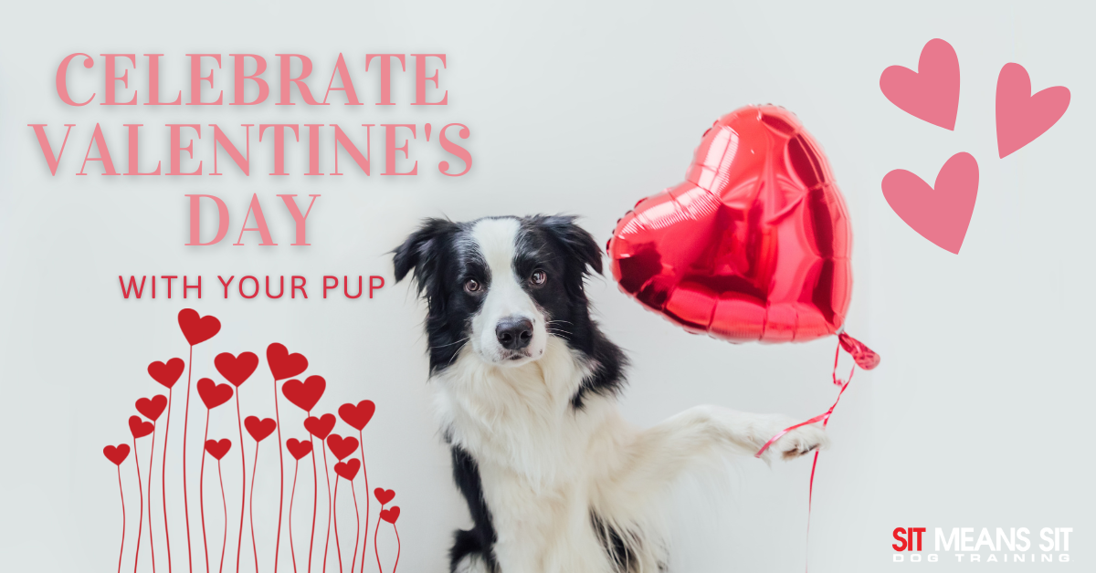 A dog holds a red heart-shaped balloon, surrounded by Valentine's Day decorations and text encouraging celebration with pets.