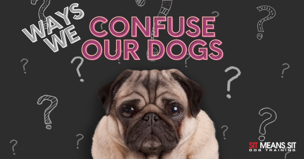 Text on a chalkboard background says, "Ways We Confuse Our Dogs," with a confused-looking pug in the center.