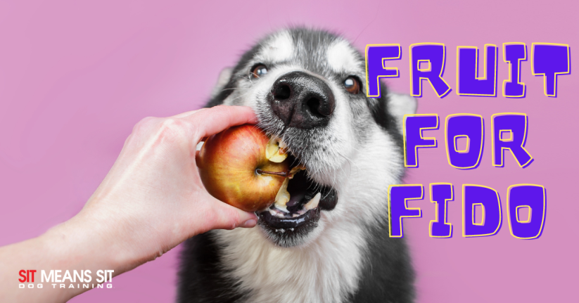 A dog eagerly grasps an apple being offered by a hand against a pink background, with text reading "Fruit for Fido."