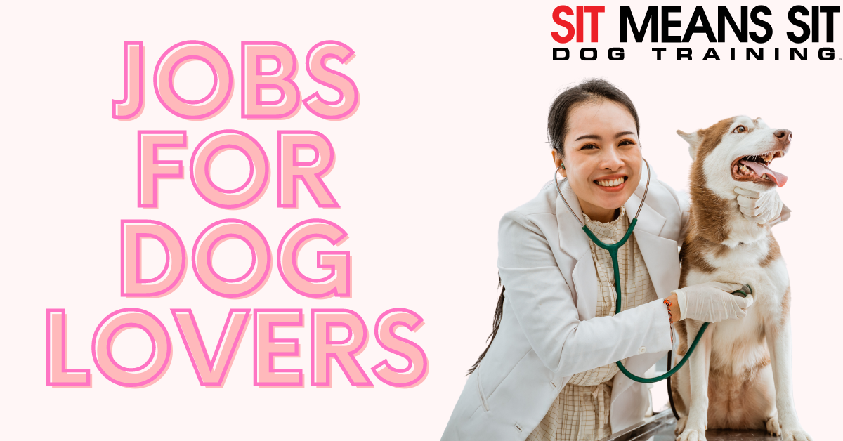 Text graphic featuring "Jobs for Dog Lovers" and "Sit Means Sit Dog Training" with a woman and a dog.