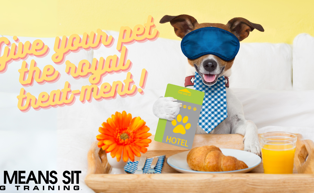 A dog wearing a sleep mask sits in bed with a tray of food and a cheerful message about pampering pets.