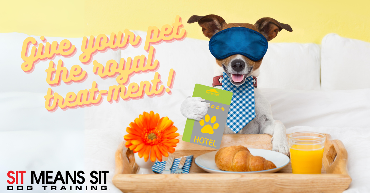 A dog wearing a sleep mask sits in bed with a tray of food and a cheerful message about pampering pets.