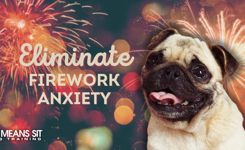 A smiling pug against a festive background with fireworks, promoting solutions for dog fireworks anxiety.