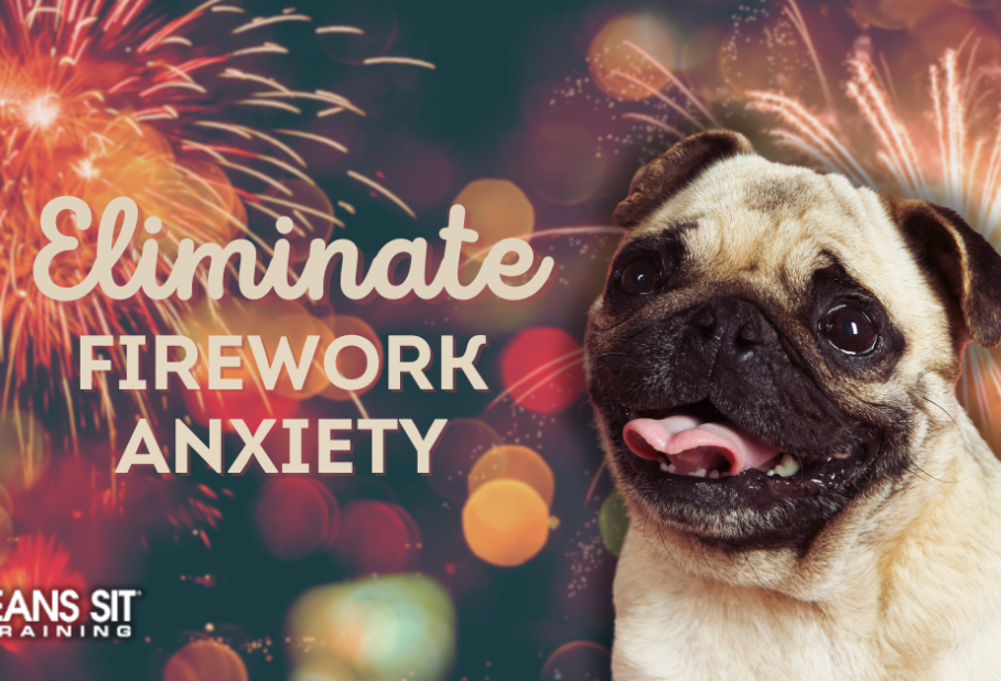 A smiling pug against a festive background with fireworks, promoting solutions for dog fireworks anxiety.