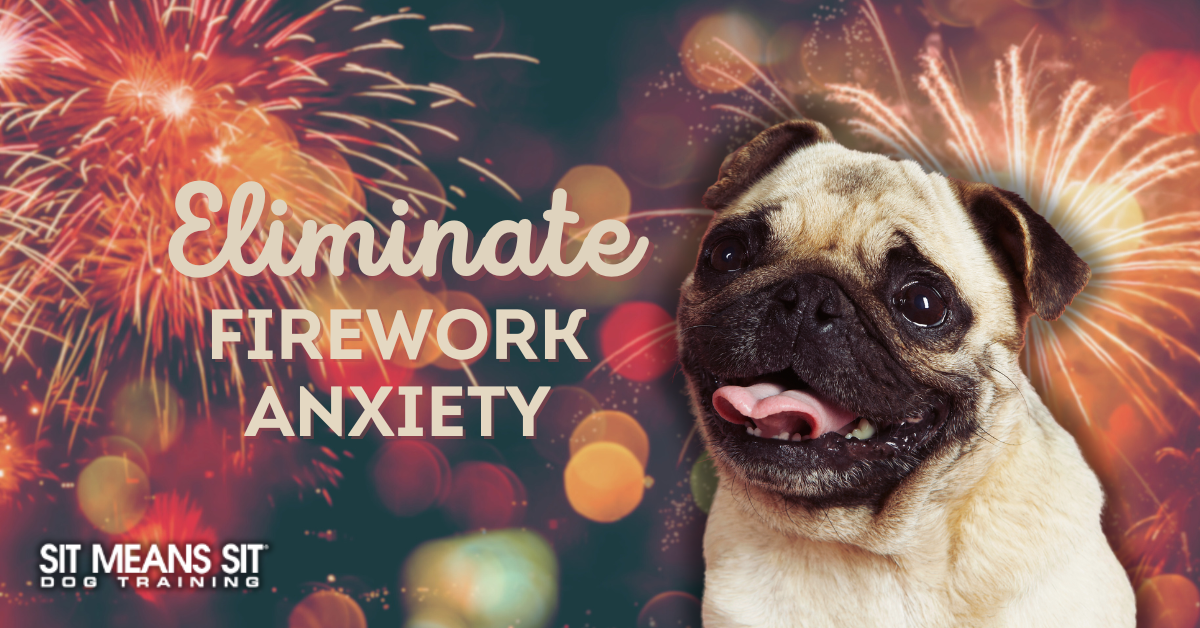 A smiling pug against a festive background with fireworks, promoting solutions for dog fireworks anxiety.