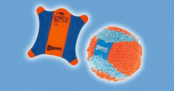 Chuckit! Flying Squirrel and Indoor Fetch Ball
