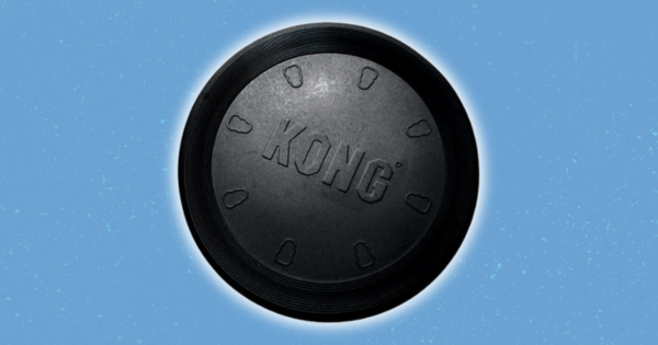 KONG Extreme Flyer