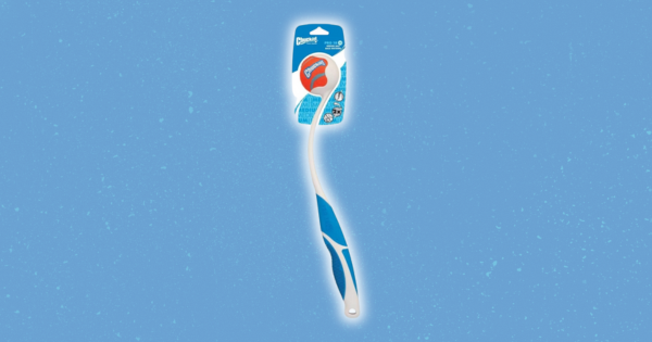 Chuckit! Pro Dog Ball Launcher