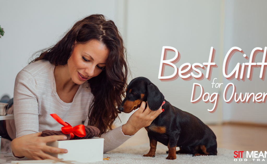 A woman joyfully opens a gift while her dog watches curiously. Text reads “Best Gifts for Dog Owners.”