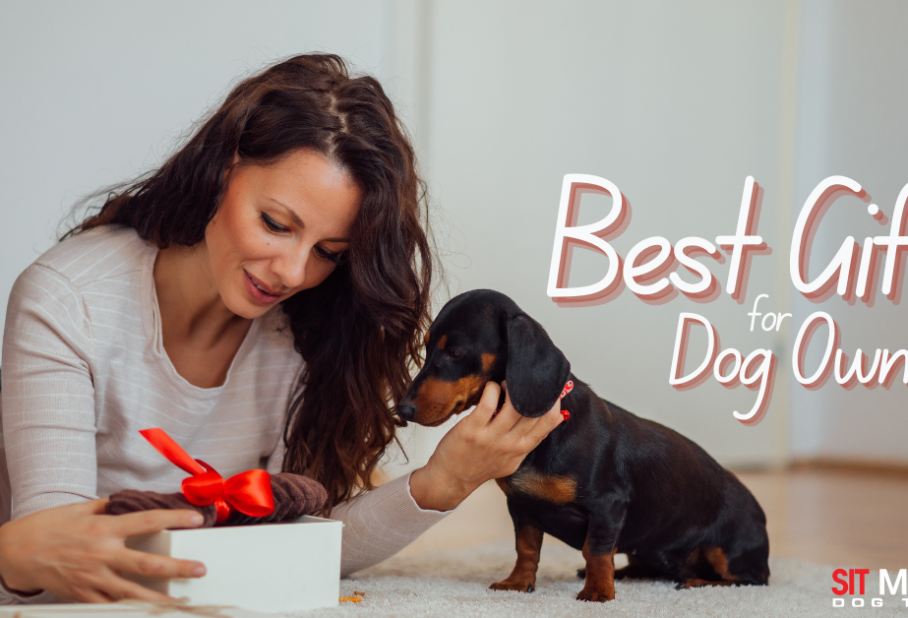 A woman joyfully opens a gift while her dog watches curiously. Text reads “Best Gifts for Dog Owners.”