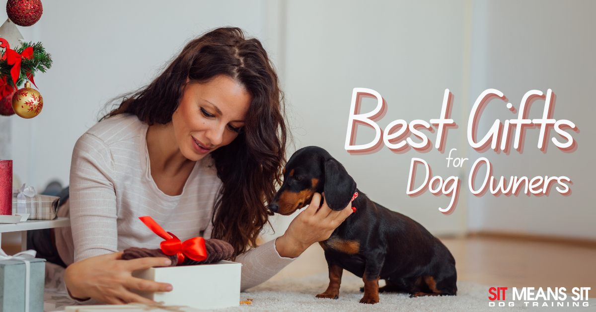 A woman joyfully opens a gift while her dog watches curiously. Text reads “Best Gifts for Dog Owners.”