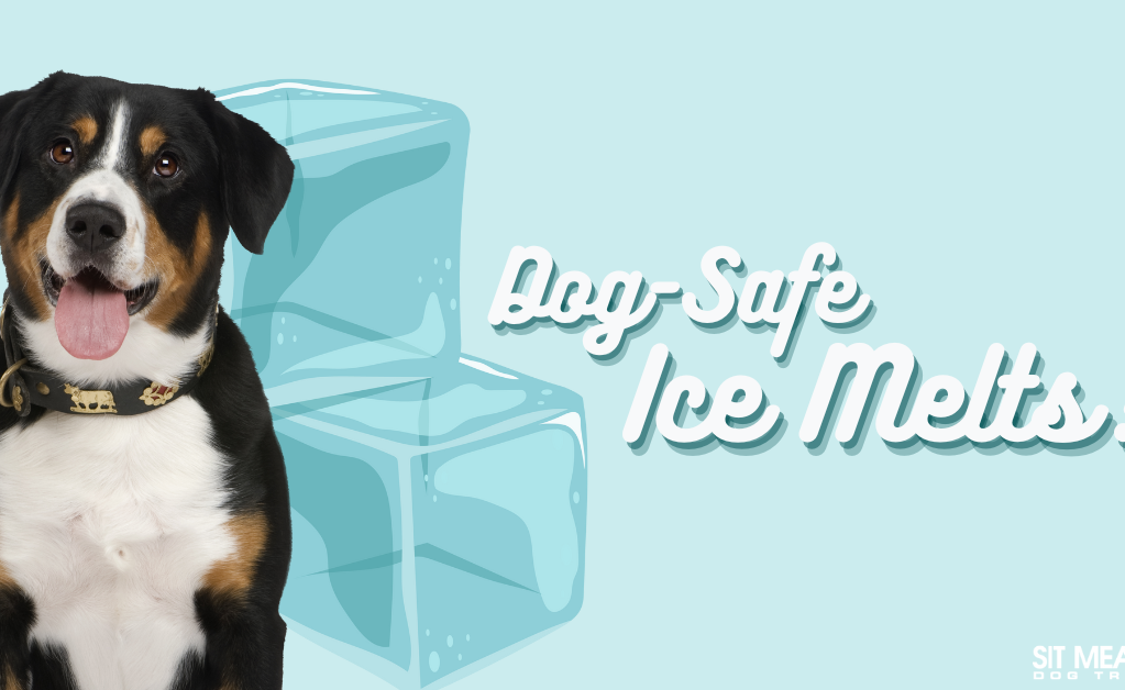 A happy dog next to ice cubes with the text "Dog-Safe Ice Melts!" in a light blue background.