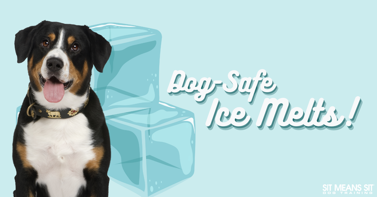 A happy dog next to ice cubes with the text "Dog-Safe Ice Melts!" in a light blue background.