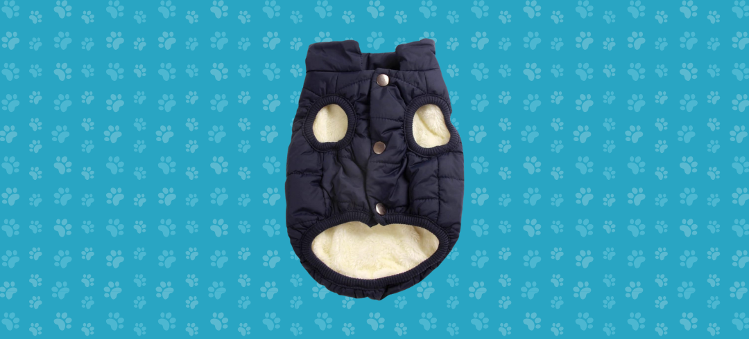 The Best Warm Winter Coats for Dogs