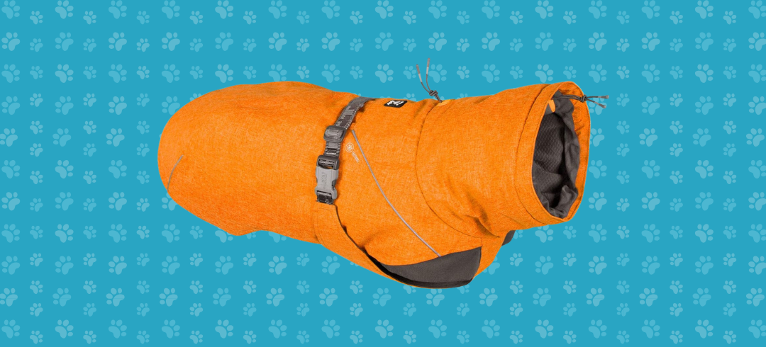 The Best Warm Winter Coats for Dogs