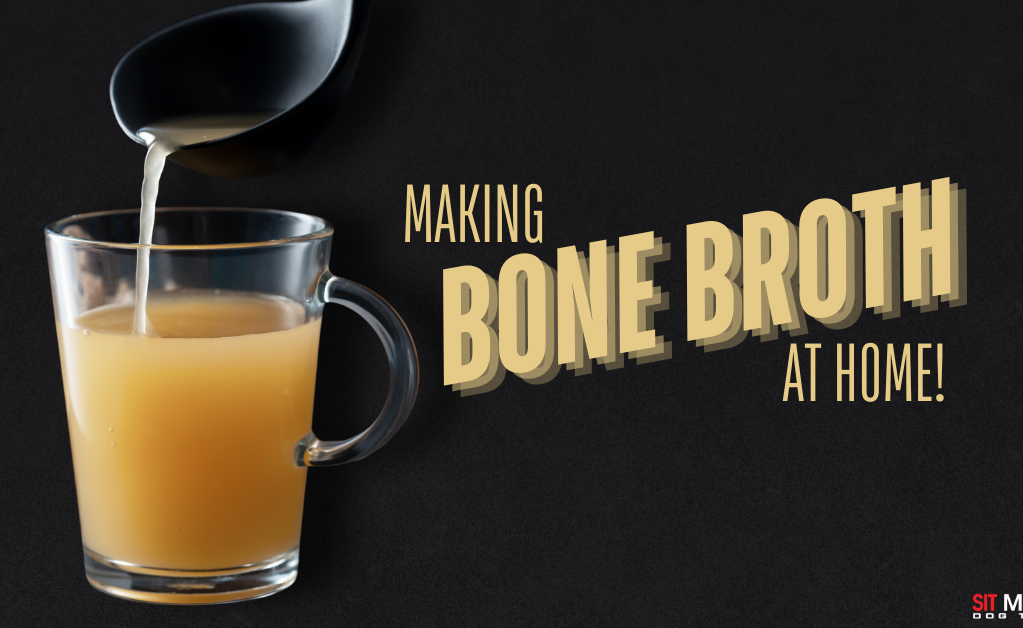 How to Make Homemade Bone Broth for Your Pup