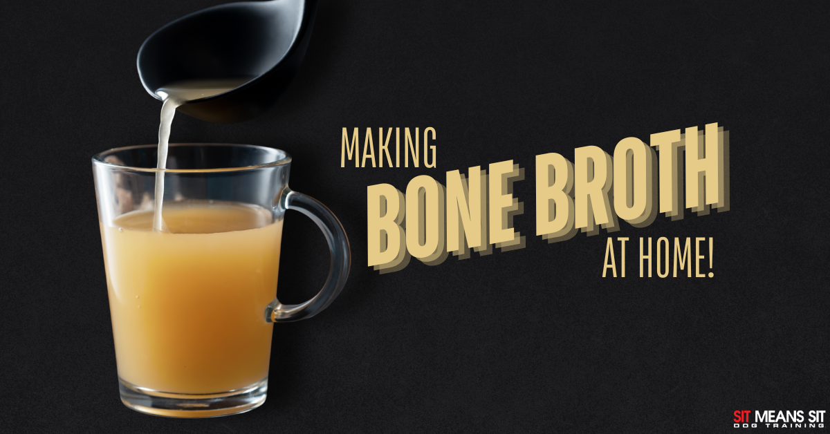 How to Make Homemade Bone Broth for Your Pup