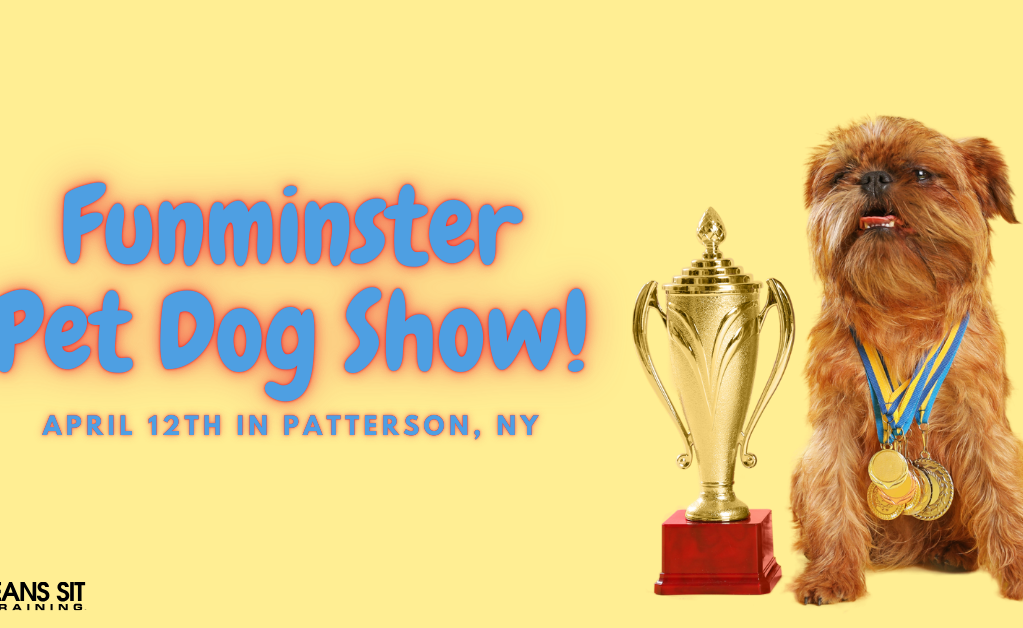Check Out the Funminster Pet Dog Show Event in Patterson