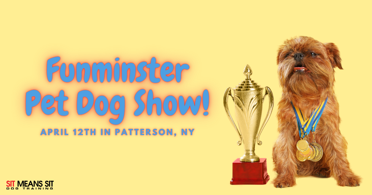 Check Out the Funminster Pet Dog Show Event in Patterson