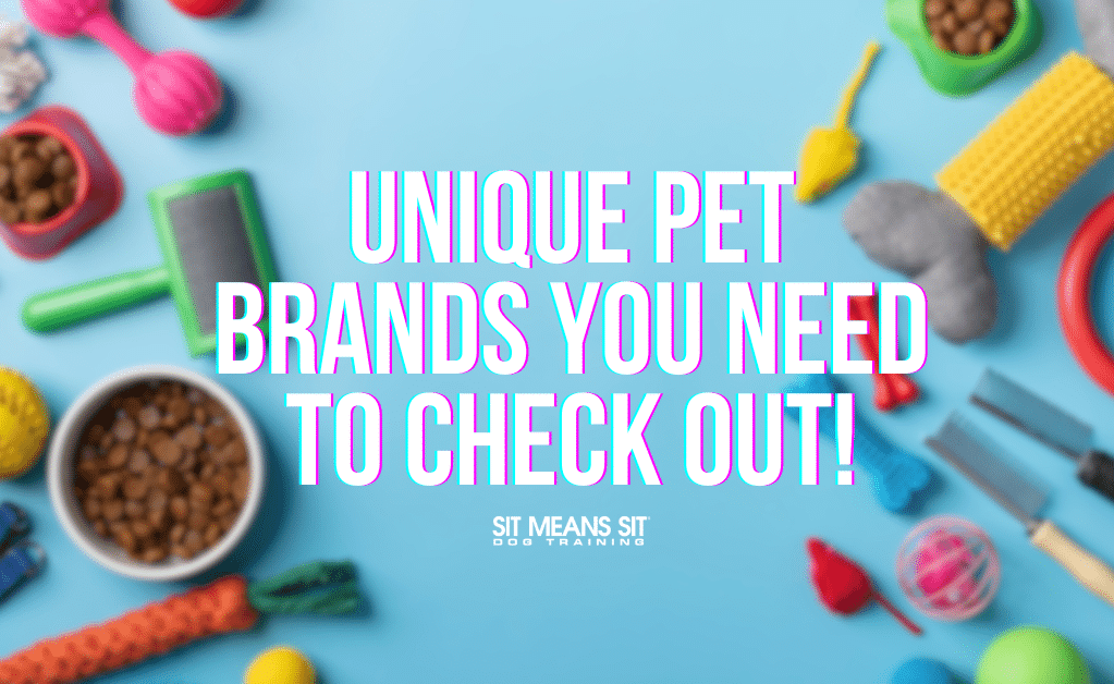 Unique Pet Brands to Check Out