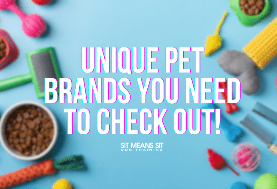 Unique Pet Brands to Check Out