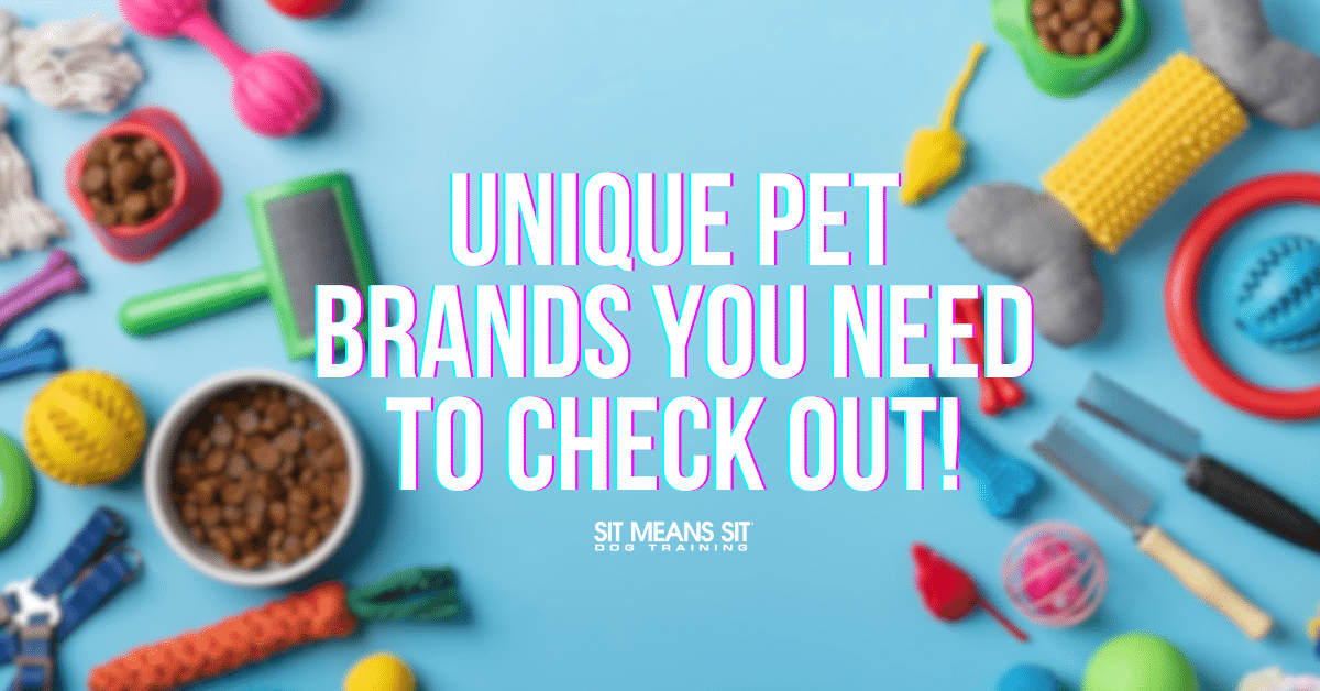 Unique Pet Brands to Check Out