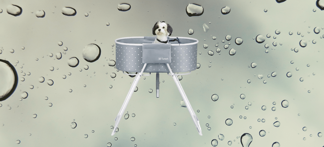 The Top Outdoor Tubs for Bathing Your Dog