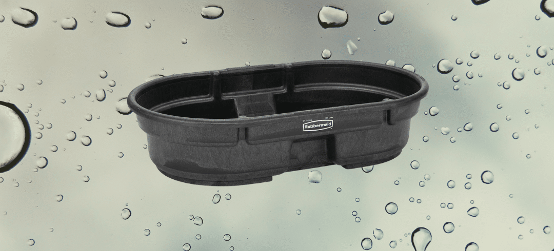 The Top Outdoor Tubs for Bathing Your Dog