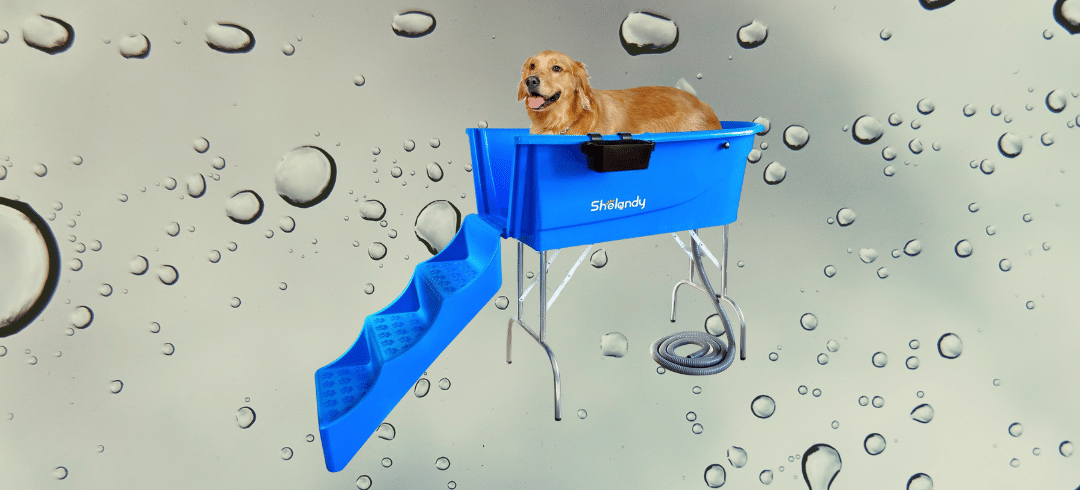 The Top Outdoor Tubs for Bathing Your Dog
