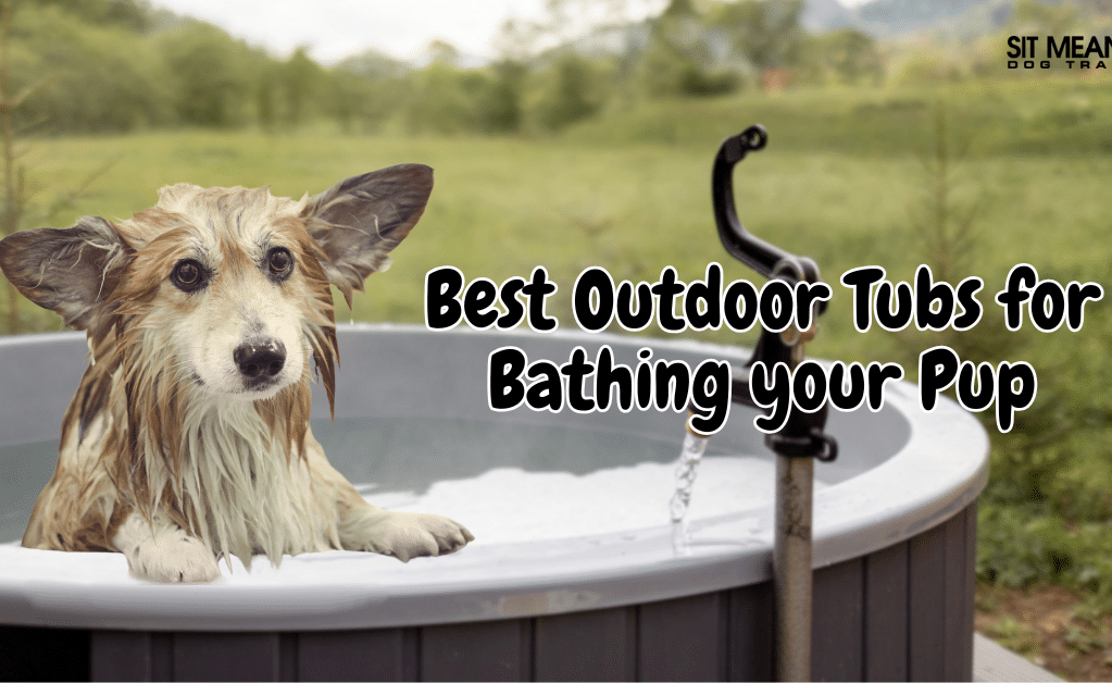 The Top Outdoor Tubs for Bathing Your Dog