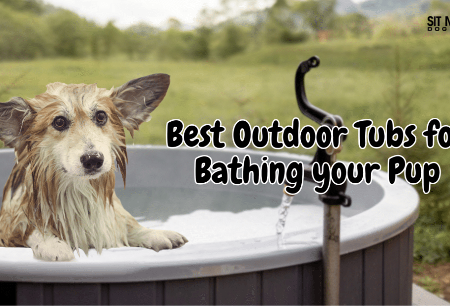 The Top Outdoor Tubs for Bathing Your Dog