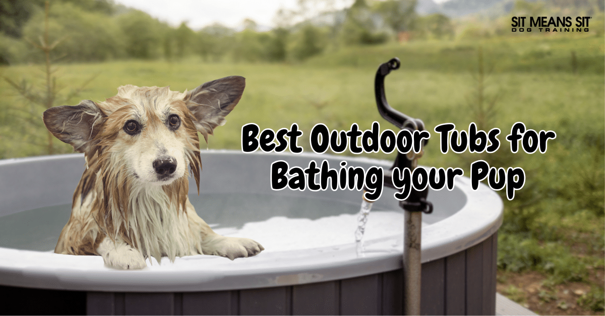 The Top Outdoor Tubs for Bathing Your Dog
