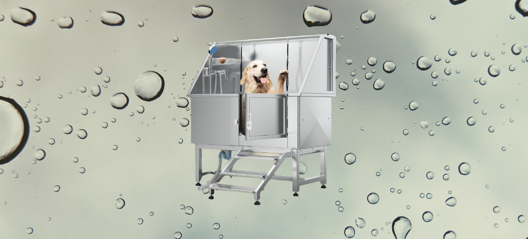 The Top Outdoor Tubs for Bathing Your Dog